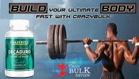 Bulking Stack Review image 1